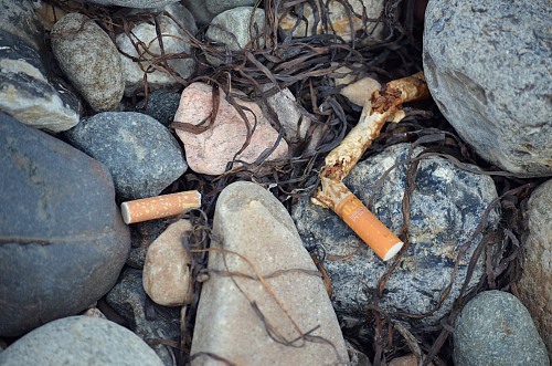 Falckensteiner Strand
Zigarettenfilter/Zigarettenkippen zwischen Steinen am Strand
Coastline - Beach, Coastal Landscape, Tourism, Pollution/Litter/Relics, Public area/Beach
Anke Vorlauf